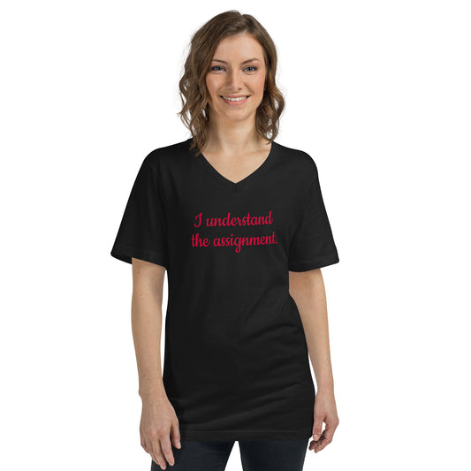 Understand the Assignment- Short Sleeve V-Neck T-Shirt